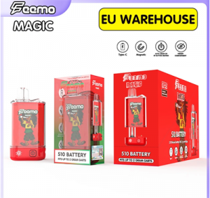 Most Popular Feemo Magic Disposable Vape Pod Charging Type C Rechargeable 650 mAh Recharger Battery