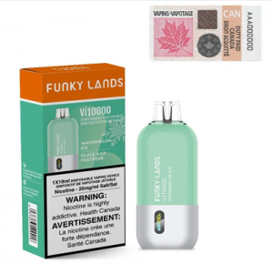 Wholesale 100% Original Funky Lands VI10000 Puffs Disposable Vape