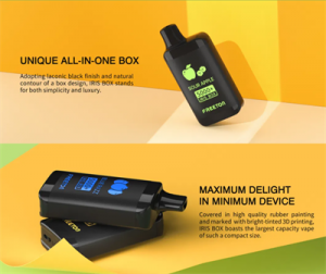 New Box Design 5000 Puffs 12ml Disposable Vaporizer E-Cig Vapor Max with Mesh Coil Electronic Cigarette