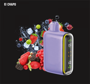 Wholesale Cheap 15000 Puffs Rechargeable Disposable Vape with Screen E Electronic Cigarette