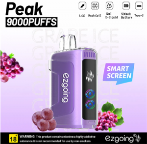 Wholesale 9000 Puffs Portable Rechargeable E-Cigarette LED Digital Screen Vape