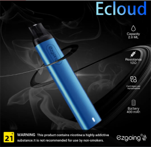 Disposable Vape Pod 600 Puffs with Mini E-Cigarette Vape 2 ml 2% English Packaging Pod