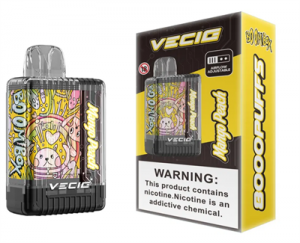 VECIG Factory Price Original Boombox 8000 puffs Disposable Vape Box Rechargeable Mesh Coil  Vape