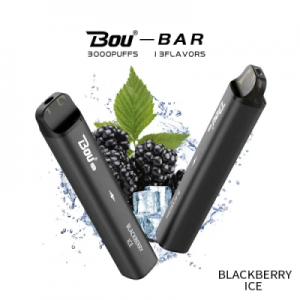 3000 Puffs Bou Bar Eletronico Vaporizador Mesh Coil No-Rechargeable Disposable Vape Bar