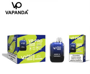 Vapanda VP Pro 13000 Disposable Vape 22 ml E Cigarette Wholesale I Vape
