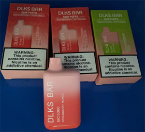 Dlks Bar Original Factory Supplier Wholesale Electronic Cigarette Vaporizer 5000 Puffs Pod