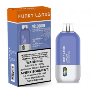 Wholesale 100% Original Funky Lands VI10000 Puffs Disposable Vape