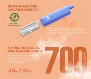 Freeton Eco Mini Disposable Vape Pod Pen Ecig 700 Puffs Electronic Cigarette
