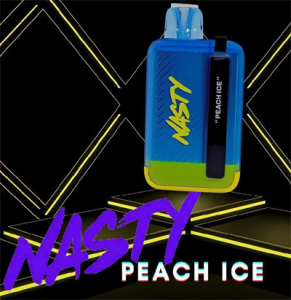 Nasty 8500 Puffs Electric Hookah E Liquid E Cigarette Vape Juice Vaporizer