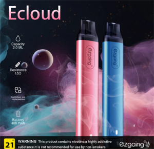 Disposable Vape Pod 600 Puffs with Mini E-Cigarette Vape 2 ml 2% English Packaging Pod
