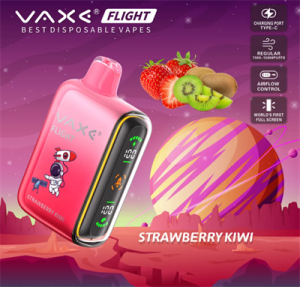 Vaxe Flight 7500/15000 Puff Custom Logo and Packaging Electric Cigarettes Disposable Vape