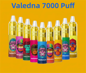 Valedna Disposable Vapes Wholesale I vape 7000 Puffs OEM Pod