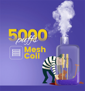 Ovns 14 ml 5000 Puffs Vape Ecig Mesh Coil Airflow Adjustable e cigarette