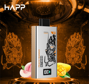 HAPP E Cigarette Mesh Coil Flavor Pen 4500 Puff Disposable Electronic Vape