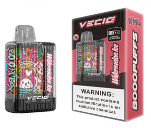 VECIG Factory Price Original Boombox 8000 puffs Disposable Vape Box Rechargeable Mesh Coil  Vape