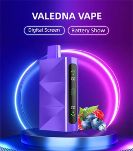 Valedna Disposable Vapes Wholesale 18000 Pod 16K Puffs 18K Drop Shipping 15000 Puff