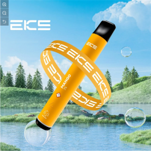 High Quality Eks Mini 2 ml 800 puff Disposable Vape China Manufacturers Wholesale Vape