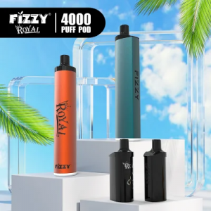 Factory Price Fizzy Royal 4000puff Mesh Coil Rechargeable Type-C Disposable Cigarette Vape Pen Pods