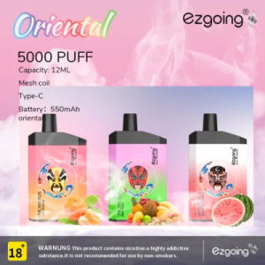 High Quality Ezgoing Vapozier 5000 Puffs and OEM