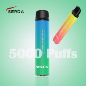 Oval Disposable 5000 Puffs Rechargeable Vape Battery Mesh Coil Electronic Cigarette Vape
