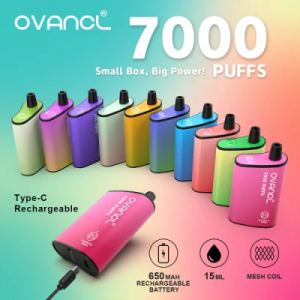 Mesh Coil Electronic Cigarette Custom 7000 Puffs Device Ovancl-Box Vape