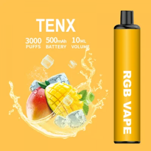 Tenx  Mesh Coil 3000 Puff Bar 10ml Ecig Disposable Pod Vape