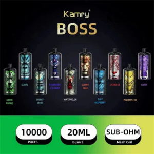 Kamry Boss New Arrival 10000puff Bar Disposable Vape Type C Charge Electronic Cigarette