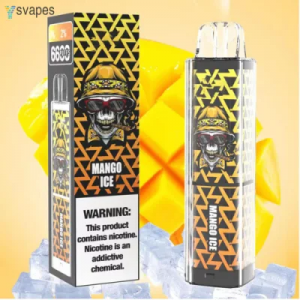 New Coming Rechargeable 12ml 6600puffs Plus 600mAh Disposable E-Cigarette