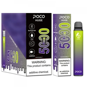 Newest Design Portable 5000 Puff Electronic Disposable Vape Pen E-Cigarette