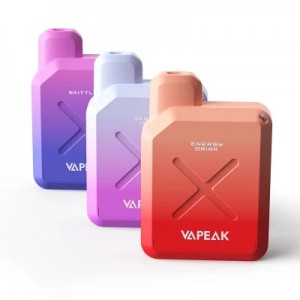 Vapeak Vision 500 Puffs 2ml TPD Electronic Vape Disposable Vape Pen Juice
