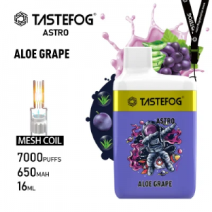 Tastefog Astro Vape 7000 Puffs Rechargeable Disposable Vapes 5% Nicotine Wholesale e cigarette