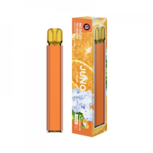 Vtv Juno 600 Puffs Disposable Vape E Cigarette Pod Device