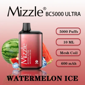 Wholesale Price with Elf Bc5000 mizzle Ultra Disposable Vape Pod