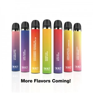Worldwide Popular Disposable Vape 2-in-1 Dual Flavors 2000 puffs Twinzy E cigarette