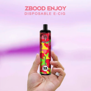 Zbood Customize Enjoy 5000 Puff Type C Disposable Vape Pen Pod Gear E Cigarette Vape