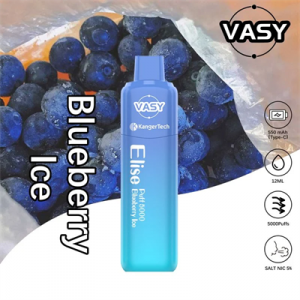 Factory Price Kangertech and Vasy Elise Co-Branding 5000 Puffs Disposable Vape