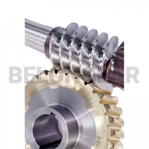 Worm and worm gear in worm gear reducer