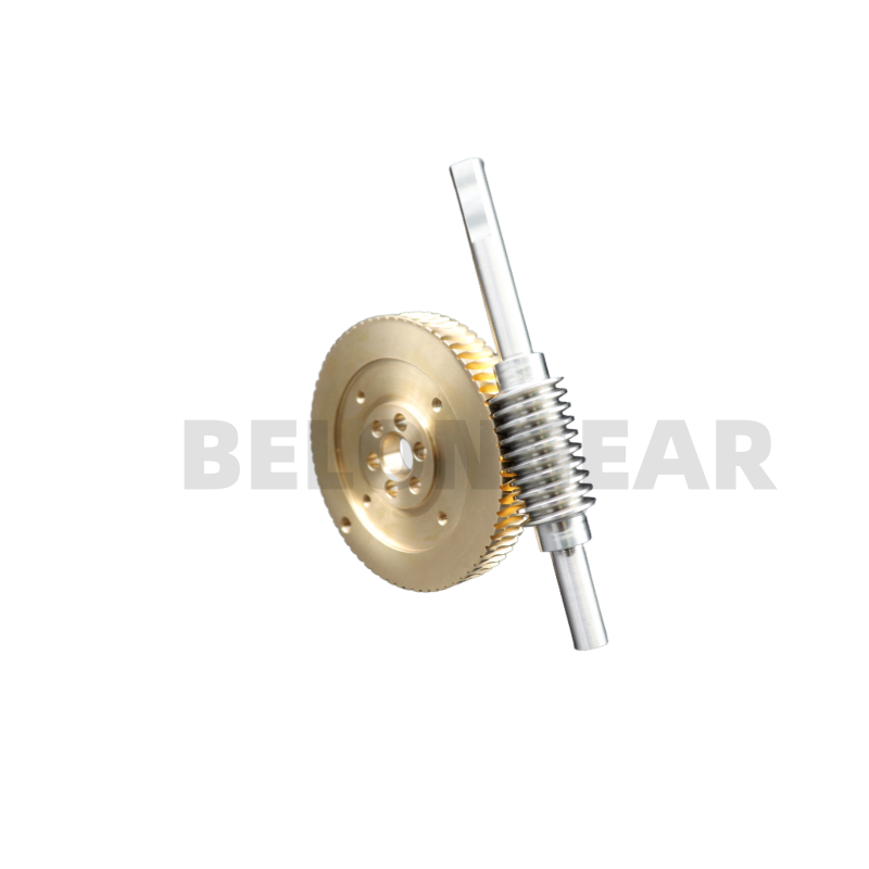 OEM High Efficiency Engineering Worm Gears for Automation Equipment