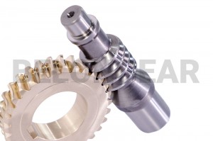 Worm Gear Set Fa'aaogaina I Worm Gearboxes