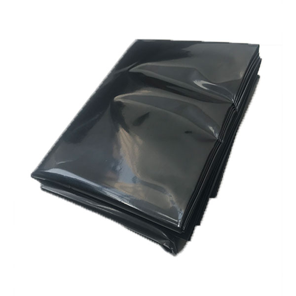 AC150H PE Plastic Bag