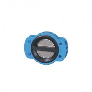 Rubber-Coated Cast iron Check Valve 