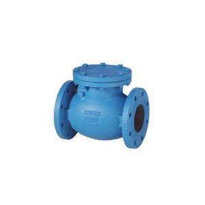 Competitive Price for drilled ball valve - DIN3202 F6 Cast iron Swing Check Valve  – BESTFLOW