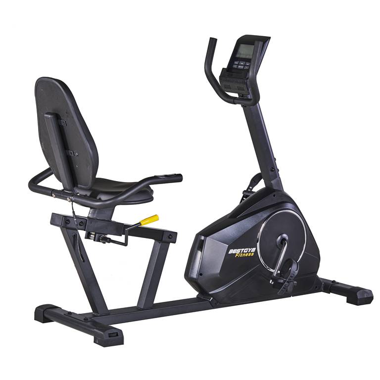 Commercial Experience Recumbent Exercise Bike