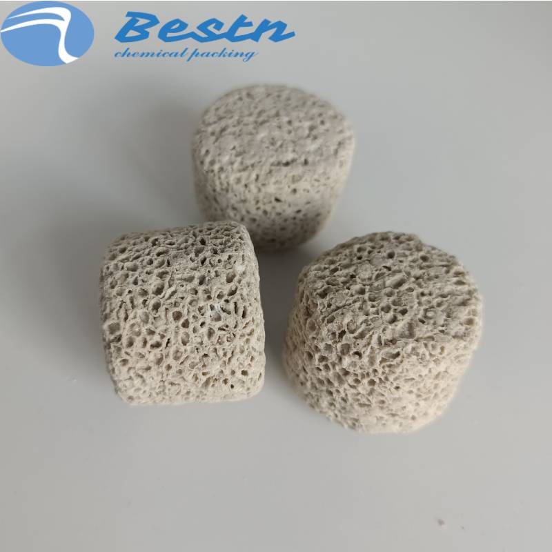 Filter Material Purifying Hydroponic Bacteria Bio House Nano Quartz Ball Ceramic Ring Featured Image