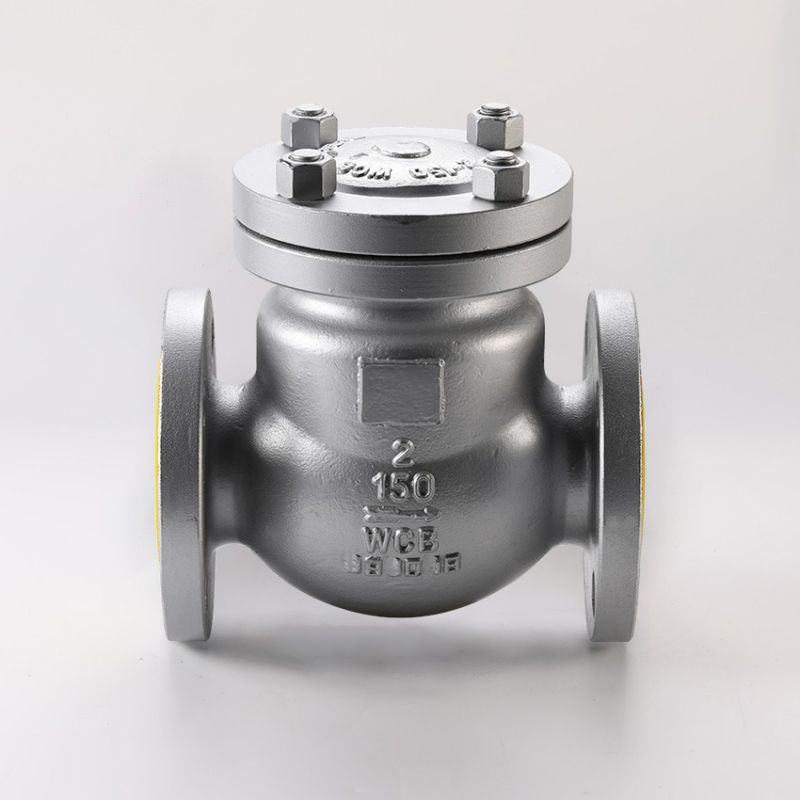 factory customized Cl150 Grooved Flange - API WCB swing check valve – BESTOP