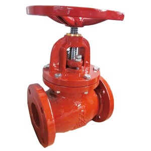 Cast iron globe valve (low/medium pressure)