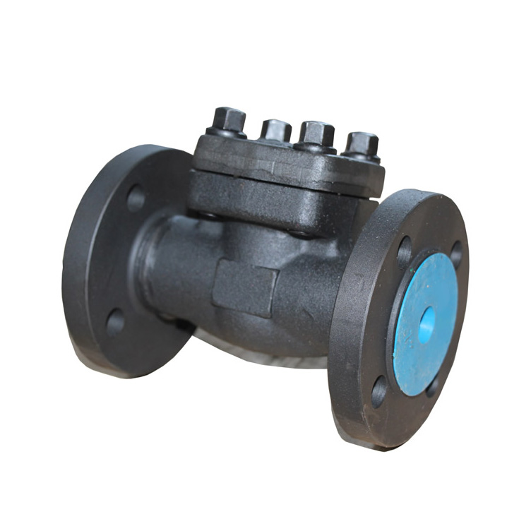 Forged steel check valve1