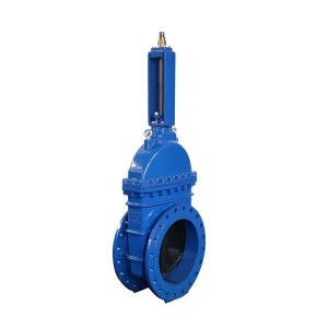 Soft seal ( resilient seat) gate valve