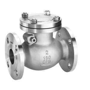 Swing check valve for water treatment