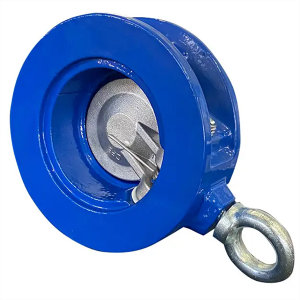 Lowest Price for Stainless Steel Non Return Single Disc Swing Wafer Check Valve